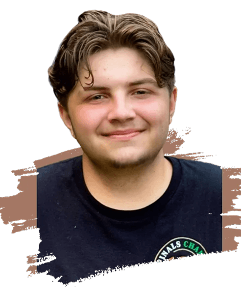 painting and renovation services